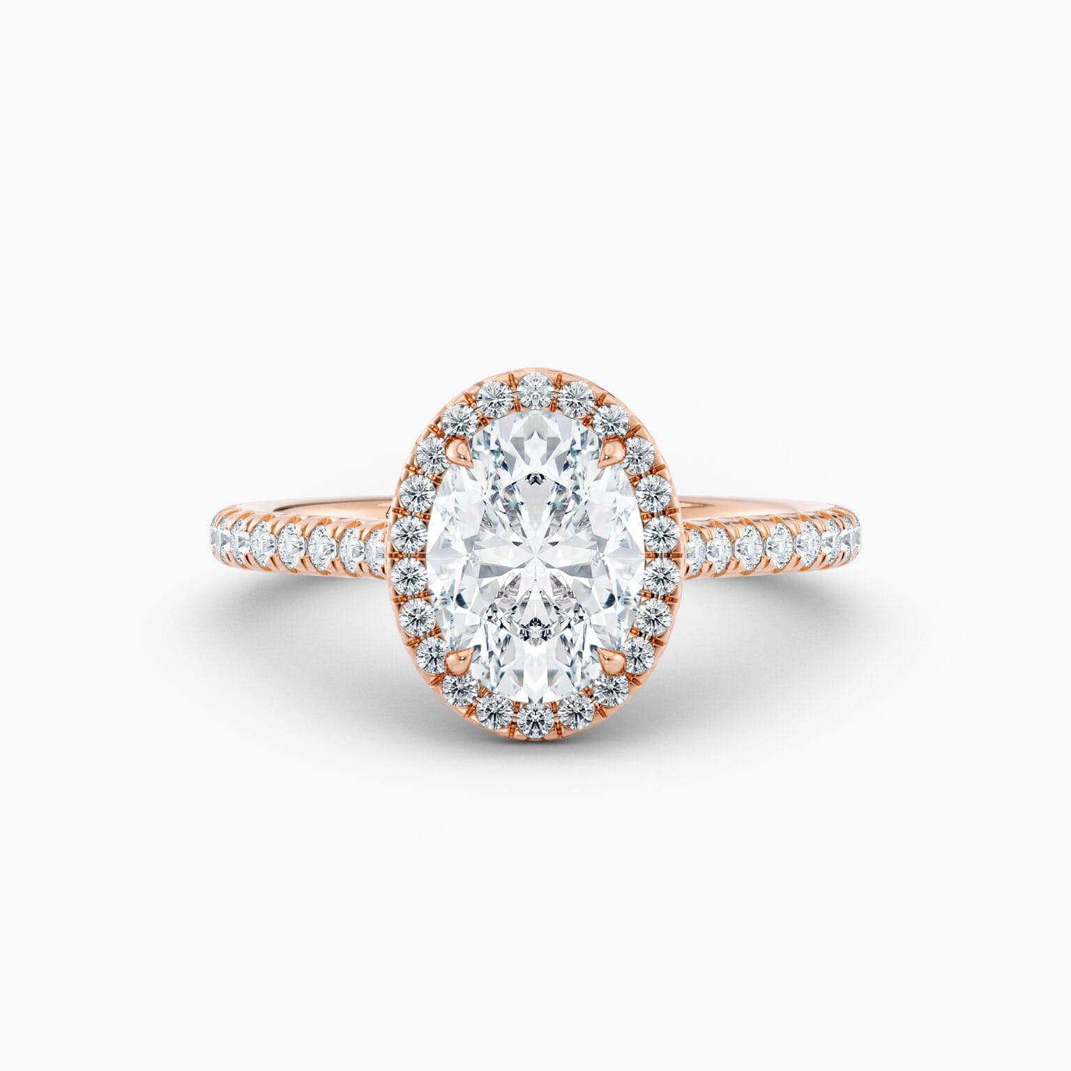 Amiri Rose Gold Halo